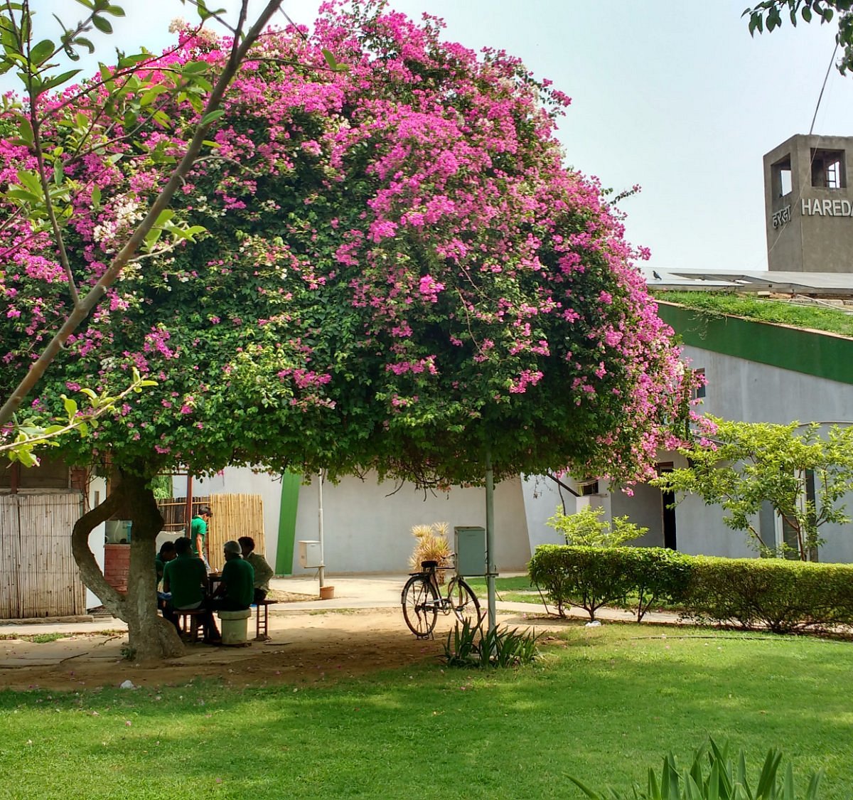 Shanti Stupa